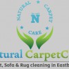 Natural Carpet Care