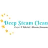 Deep Steam Clean