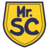 Mr Squeegee Clean