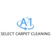 A1 Select Carpet Cleaning