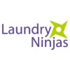 Laundry Ninjas