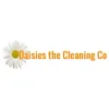 Daisies the Cleaning