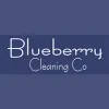 Blueberry Cleaning