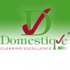 Domestique Franchising