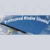 The Window Cleaning