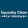 Squeaky Clean Car Valeting