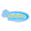 New Forest Carpet Clean